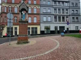 TRZY SOWY prywatne pokoje 24h wygodnelokumpl