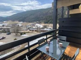 Duplex en Vercors, 6 pers, balcon sud, parking - FR-1-515-130