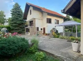 Simsir villa Novi Sad wifi