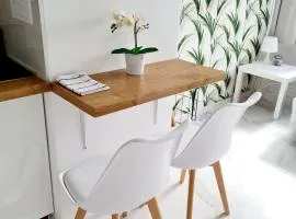 Apartament LAKE z widokiem na jezioro Jakuba