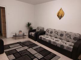 Apartament Ioana, self-catering accommodation sa Tîrgu Ocna