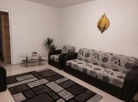 Apartament Ioana