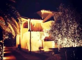 Apartment Novigrad