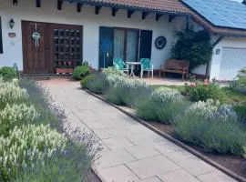 Siggis Home