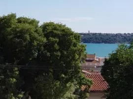 Old Town Apartment Medulin