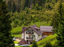 Pensiunea Poienita Ursului, Hotel in Fundata