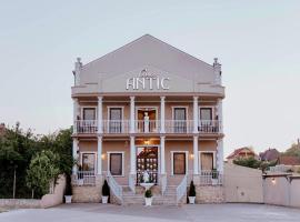 Casa ANTIC, hotel en Băile Felix