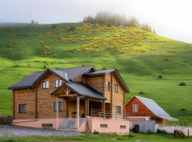 Snow Time Eco Chalet, cabin in Gudauri