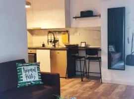 DOWN TOWN Luxurious Apartments (1)
