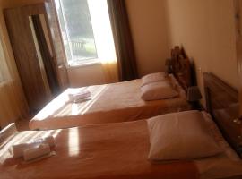 Guesthouse Guram Baba, guest house in Mestia