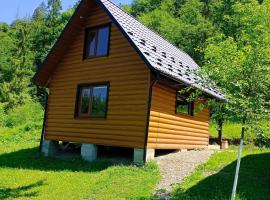 Під горою 2, cottage in Sheshory