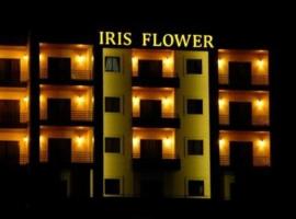 Iris Flower Hotel, levný hotel v destinaci Jezzine