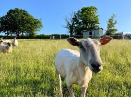 Luxury Shepherd Hut on small South Hams farm, Devon、Modburyの別荘