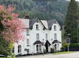 The Buckley Arms – hotel w mieście Dinas Mawddwy