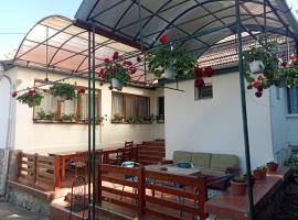 Elza Guesthouse, guest house in Rimetea