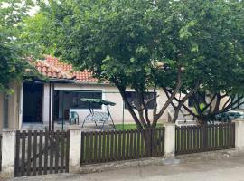 Old Fashion Guest House, villa in Soko Banja