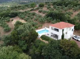 Kyparissia De Wandelboom