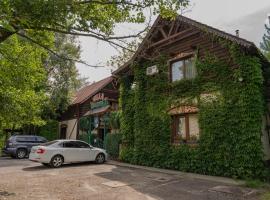 Villa Garden Hotel, hotel en Solochyn