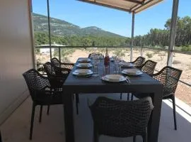 Robinson olive tree huts