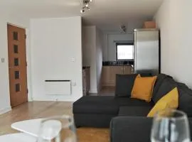 Albion Street Apartments