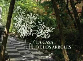 Hotel La Casa de los Árboles Immersive Experience