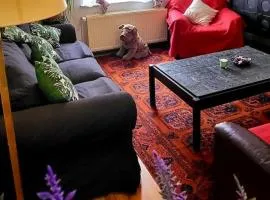 Bright studio close to Zaventem airport