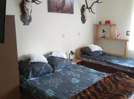Seba