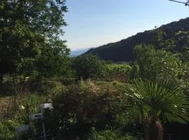 Salara farmhouse