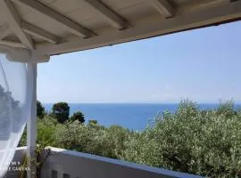 Elia house 1 astoning sea view among the olive trees