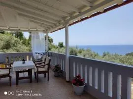Elia house 2 astoning view among the olive trees