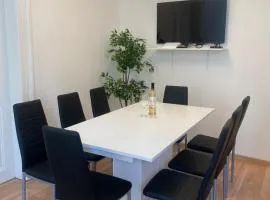 Designed apartment next to Vaclav square with terrace and private garage