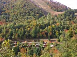 Camping Yoghi e Bubu