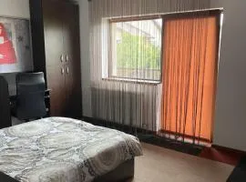 Vila cu trandafiri - Cozy Apartments Studio cu pat matrimonial