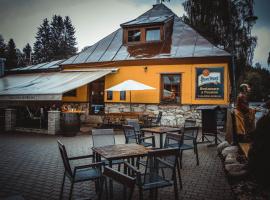 Penzion u Hajneho Bedricha, hotel in Harrachov