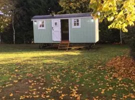 Jasmine The Shepherd Hut