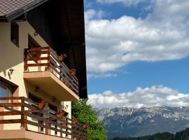 Transylvanian House, B&B in Drumu Carului