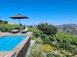 Casa de Pena d'Águia - Douro Encantado: Provesende'de bir tatil evi