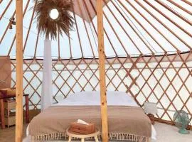 Glamping Iurte Mongole Spiritul Zimbrului