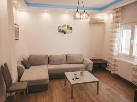 Comfortable apartment in the city center