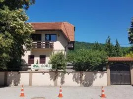 Drinski Konak