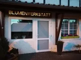 Blumenwerkstatt mit Sauna und Jacuzzi