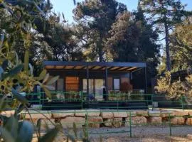 Mobile home Dream , Camp Porton Biondi- Rovinj