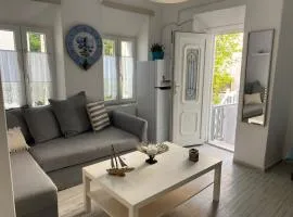 BUDGET DOWNTOWN APARTMENT- Harma I