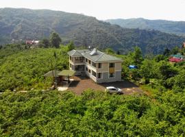 Luxury Nature Life Villa, holiday home in Trabzon