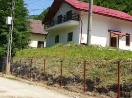 Casa Alin Poiana Mărului