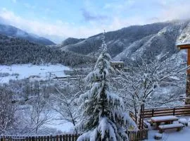 Likani-house's Cottage