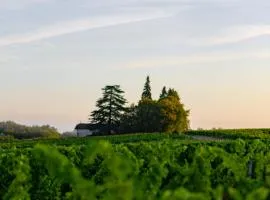 Vandenbeld Wines B&B