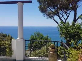 Amazing Villa seafront on Circeo Mountain
