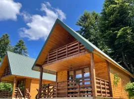 Hill Hut