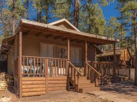 Hideaway forest cabin 9 Squirrels Den, chata v destinácii Payson